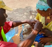 Tchad : une caravane de vaccination dans le Moyen-Chari au service des humains et des animaux
